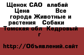 Щенок САО (алабай) › Цена ­ 10 000 - Все города Животные и растения » Собаки   . Томская обл.,Кедровый г.